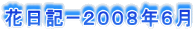 花日記ー２００８年６月