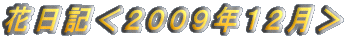 花日記＜２００９年１２月＞ 