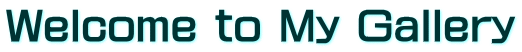Welcome to My Gallery